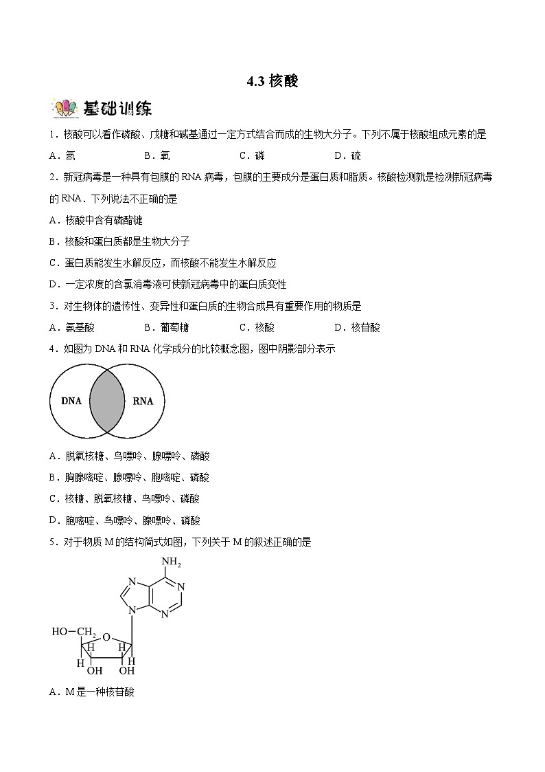 4.3核酸（分层作业）原卷版 2022-2023学年高一化学同步备课系列（人教版2019必修第二册）第1页