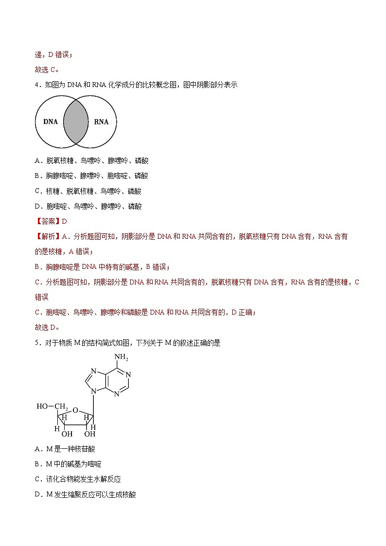 4.3核酸（分层作业）解析版 2022-2023学年高一化学同步备课系列（人教版2019必修第二册）第2页