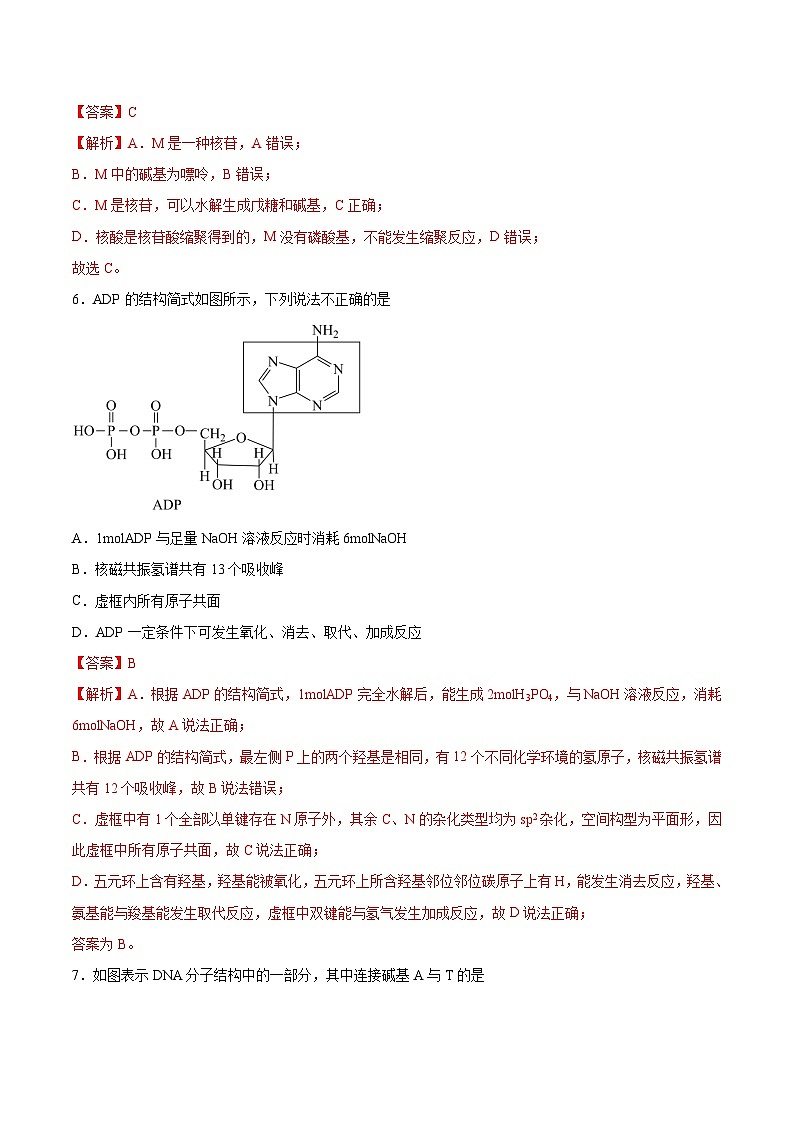 4.3核酸（分层作业）解析版 2022-2023学年高一化学同步备课系列（人教版2019必修第二册）第3页