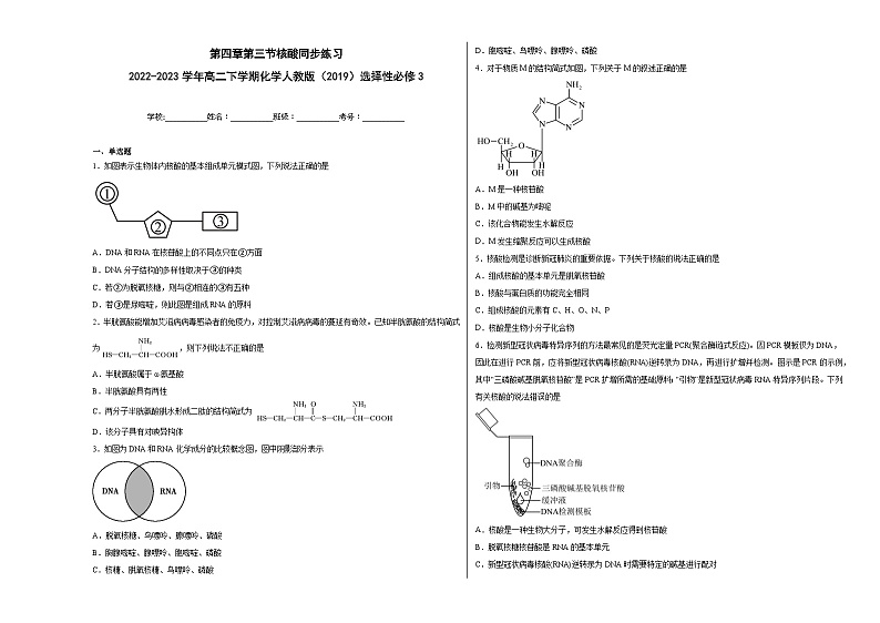 第四章第三节核酸同步练习第1页