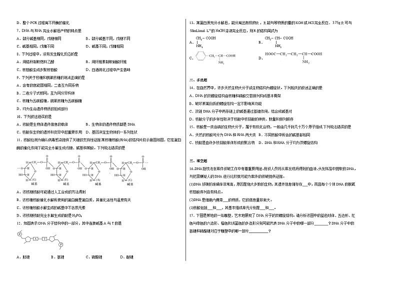 第四章第三节核酸同步练习第2页