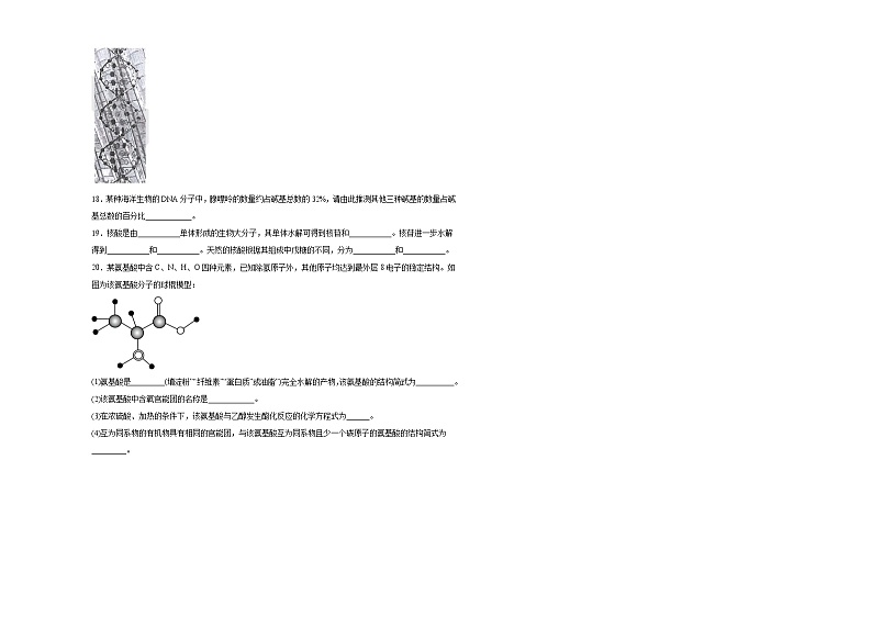 第四章第三节核酸同步练习第3页