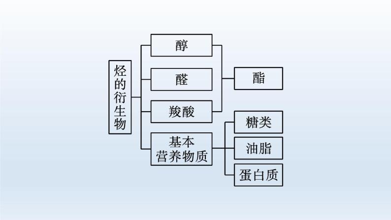 高中化学学考复习第15讲烃的衍生物课件03