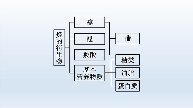 高中化学学考复习第15讲烃的衍生物课件第3页