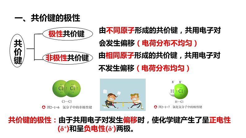 第二章第三节分子的性质第一课时 2024年高二选择性必修2《物质结构与性质》精品课件03