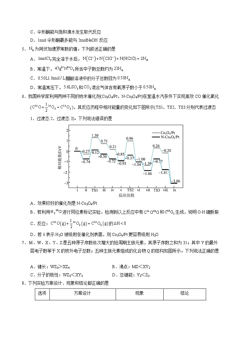 高三化学开学摸底考（湖北专用）（考试版）第2页