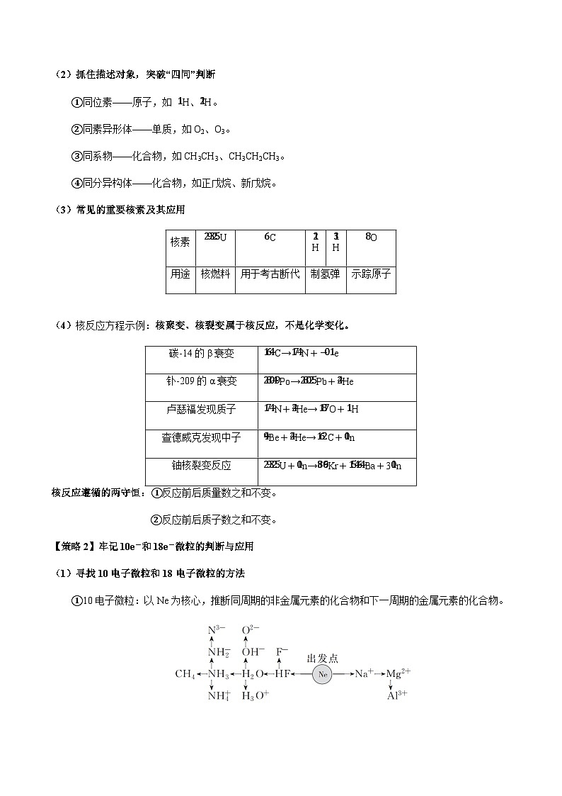 重难点10 元素推断与元素周期律-2024年高考化学【热点·重点·难点】专练（新高考专用）（原卷版）第2页