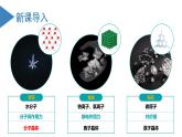 【沪科版】化学选修二  3.3 共价晶体和分子晶体（课件+练习）