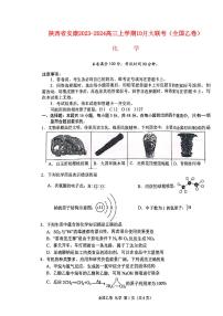 陕西省安康2023_2024高三化学上学期10月月考试题