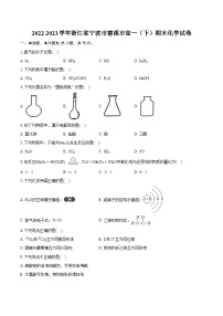 2022-2023学年浙江省宁波市慈溪市高一（下）期末化学试卷(含详细答案解析)