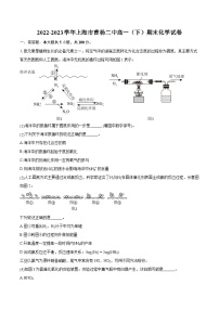 2022-2023学年上海市曹杨二中高一（下）期末化学试卷(含详细答案解析)