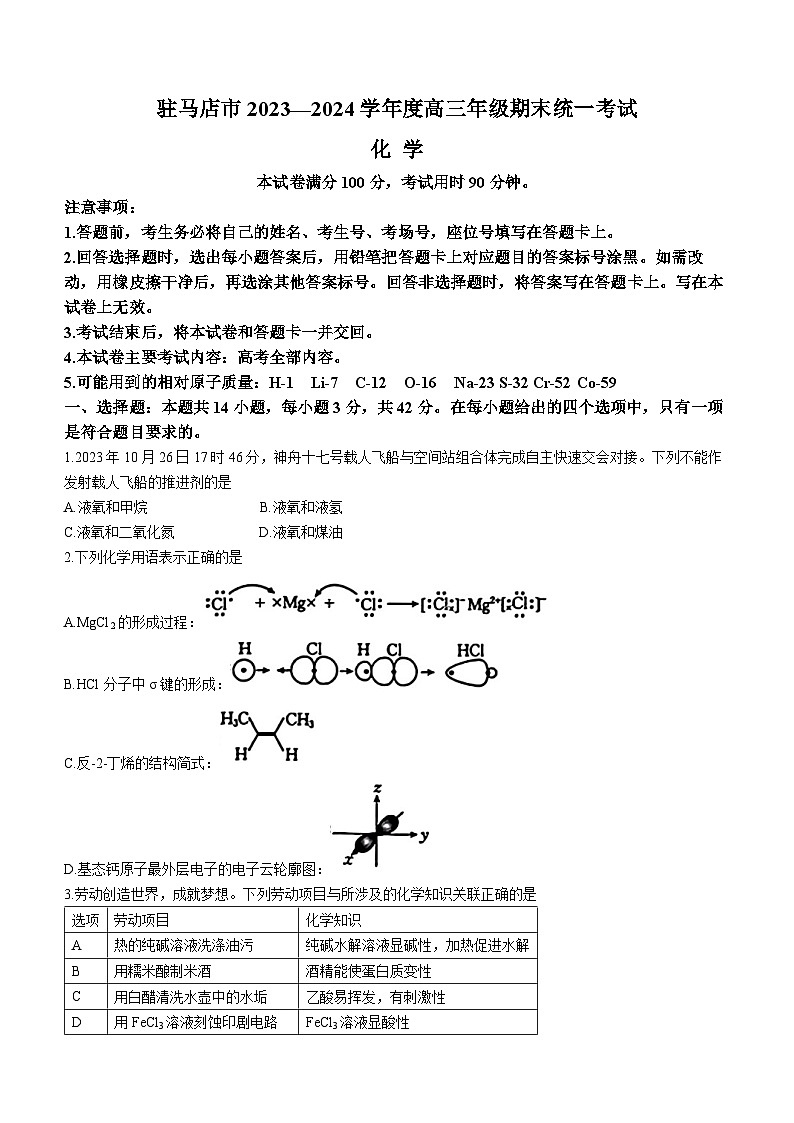 2024驻马店高三上学期期末考试化学含解析01