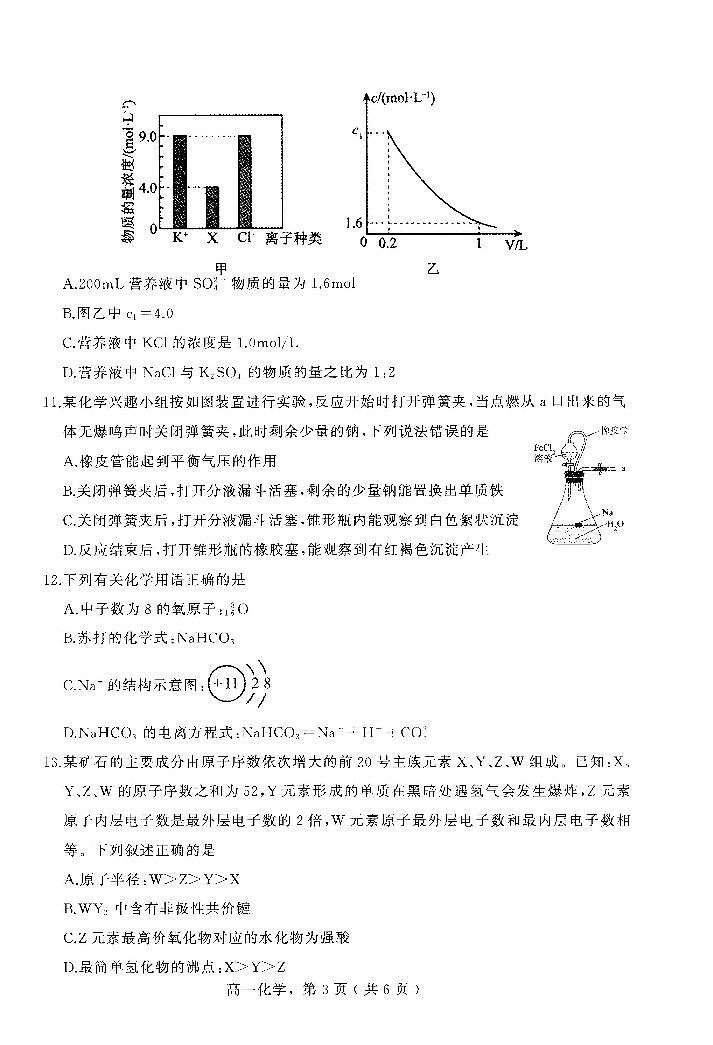 2024石家庄辛集高一上学期期末考试化学PDF版含答案第3页