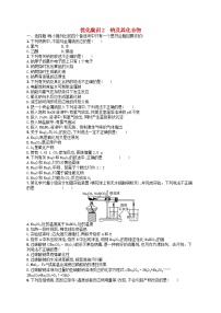 2024高考化学基础知识综合复习优化集训试题2钠及其化合物