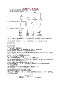 2024高考化学基础知识综合复习优化集训试题17化学实验