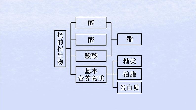 2024高考化学基础知识综合复习第15讲烃的衍生物课件第3页