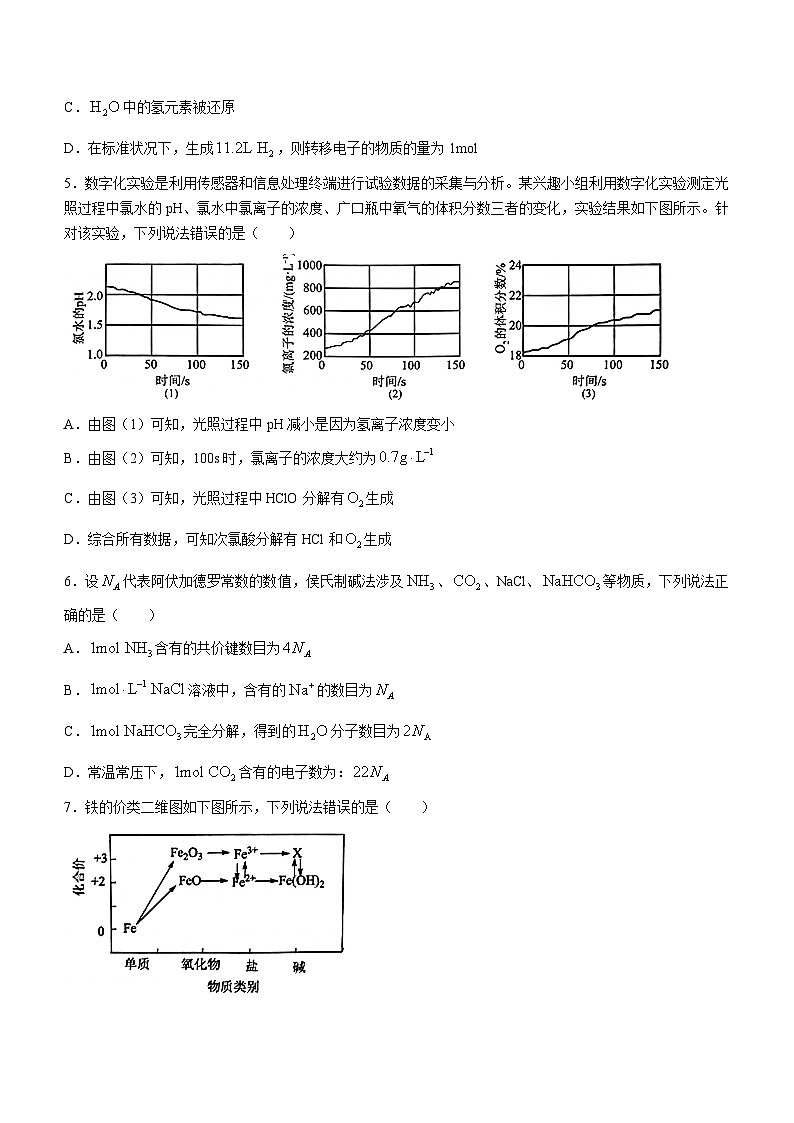 广东省茂名市信宜市2023-2024学年高一上学期1月期末考试化学试题02