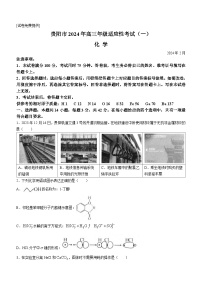 贵州省贵阳市2024届高三下学期适应性测试（一）化学试题