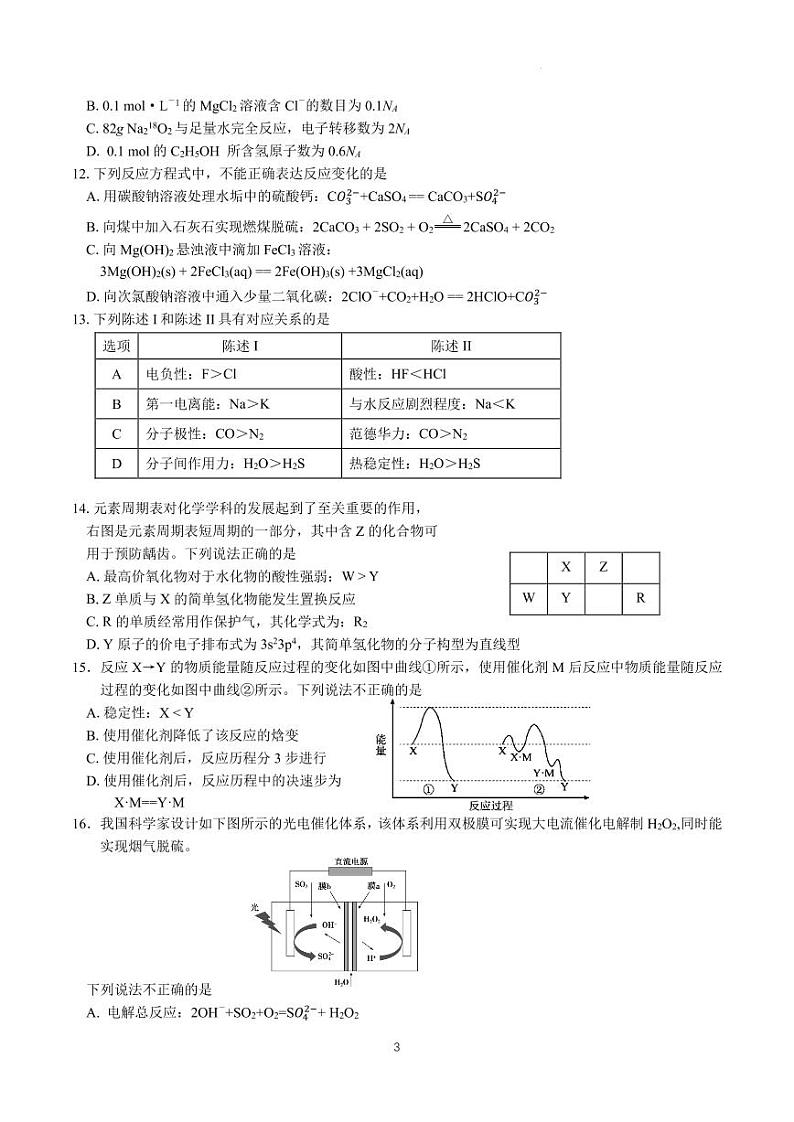 2024届广东南粤名校联考2月联考-化学第3页