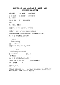 49，广东省惠州市惠东县惠东荣超中学2022-2023学年高一上学期期中考试化学试题(1)