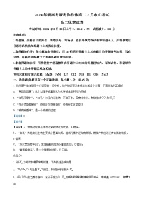 95，湖北省新高考联考协作体2023-2024学年高二下学期2月收心考试化学试题