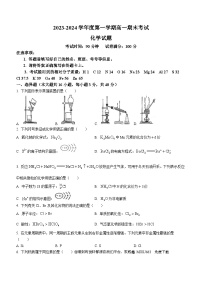 100，新疆兵团第三师图木舒克市鸿德实验学校2023-2024学年高一上学期期末考试化学试卷()