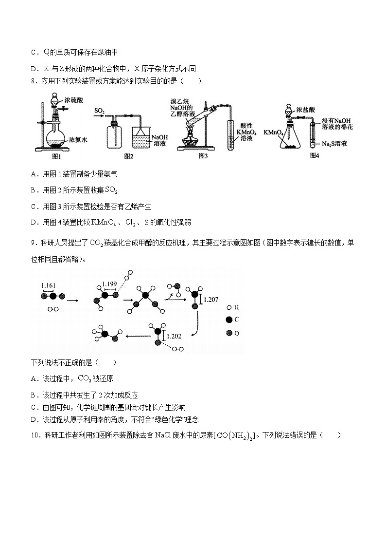 河北省石家庄市辛集市2023-2024学年高三上学期2月期末考试化学试题第3页