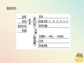 2024版新教材高中化学专题8有机化合物的获得与应用第二单元食品中的有机化合物第五课时蛋白质和氨基酸课件苏教版必修第二册