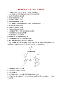 适用于新高考新教材广西专版2024届高考化学一轮总复习第九章有机化学基础课时规范练33生物大分子合成高分子