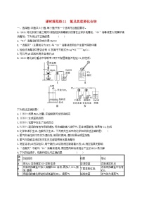 适用于新高考新教材广西专版2024届高考化学一轮总复习第四章化工生产中的重要非金属元素课时规范练11氯及其重要化合物