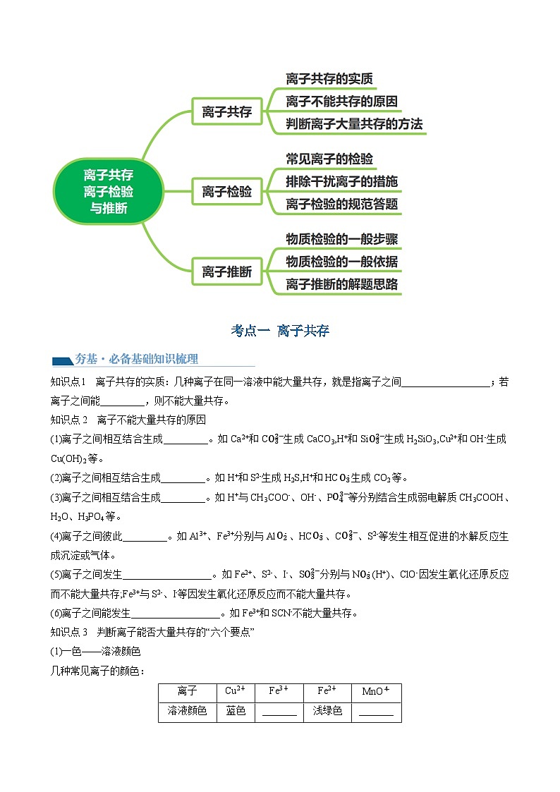 第06讲 离子共存、离子的检验与推断（讲通）（学生版）第3页