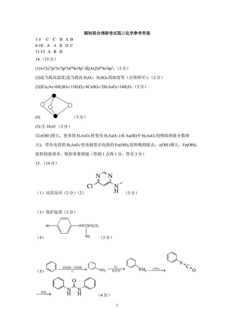 江苏省南京市江宁区等5地2023-2024学年高三下学期期初联合调研考试化学试题（PDF版含答案）01