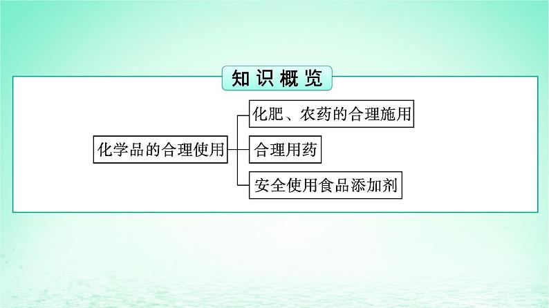 新教材同步备课2024春高中化学第8章化学与可持续发展第2节化学品的合理使用课件新人教版必修第二册第3页