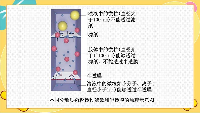 鲁科版高中化学必修第一册 2.1.2 一种重要的混合物——胶体 PPT课件06