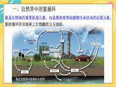 鲁科版高中化学必修第一册 3.3.1 自然界中的氮循环 PPT课件