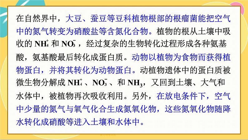 鲁科版高中化学必修第一册 3.3.1 自然界中的氮循环 PPT课件第4页