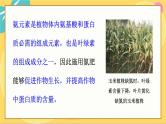 鲁科版高中化学必修第一册 3.3.2 氨的转化 PPT课件