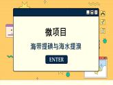 魯科版高中化學(xué)必修第二冊 微項目 海帶提碘與海水提溴 PPT課件