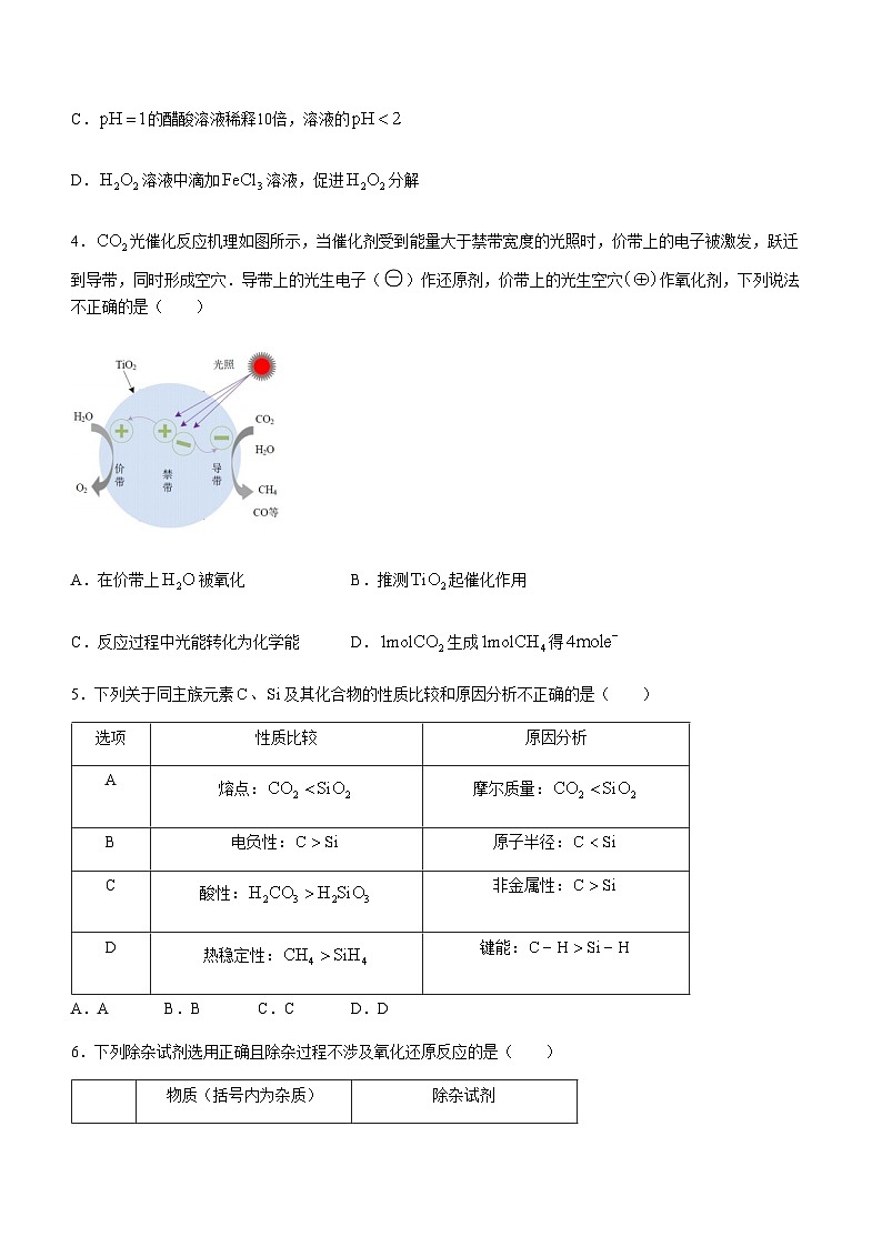北京市朝阳区部分中学2023-2024学年高三下学期开学考试化学试题（含答案）02