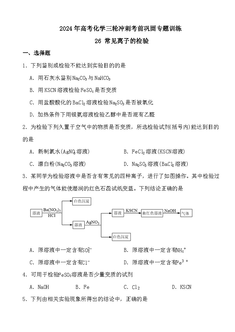 2024年高考化学三轮冲刺考前巩固专题训练26 常见离子的检验01
