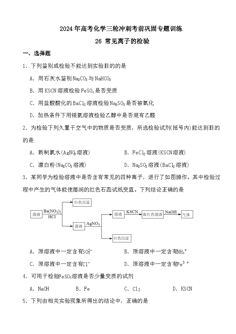 2024年高考化学三轮冲刺考前巩固专题训练26 常见离子的检验01