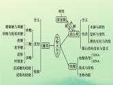 新教材同步系列2024春高中化学第四章生物大分子本章总结课件新人教版选择性必修3