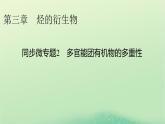 2024春高中化学第三章烃的衍生物同步微专题2多官能团有机物的多重性课件（人教版选择性必修3）