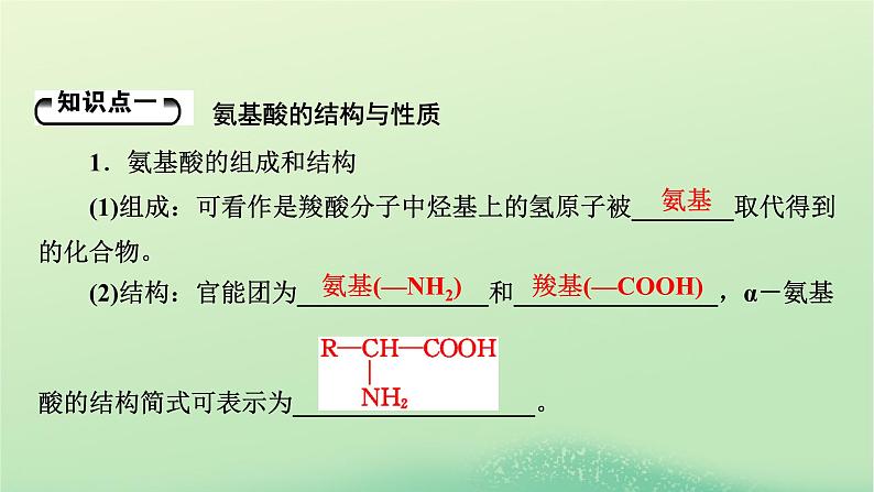 2024春高中化学第四章生物大分子第二节蛋白质课件（人教版选择性必修3）第4页