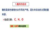 糖类的组成和分类 单糖  课件