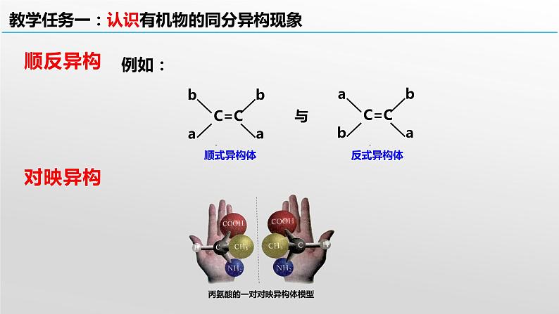 [1.1.3] 有机化合物的结构特点与研究方法（第3课时-同分异构现象）2023-2024学年高二化学人教版（2019）选择性必修3课件07