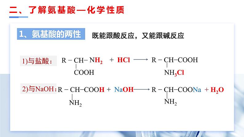 [4.2.1]蛋白质（第1课时，氨基酸）2023-2024学年高二化学人教版（2019）选择性必修3课件08