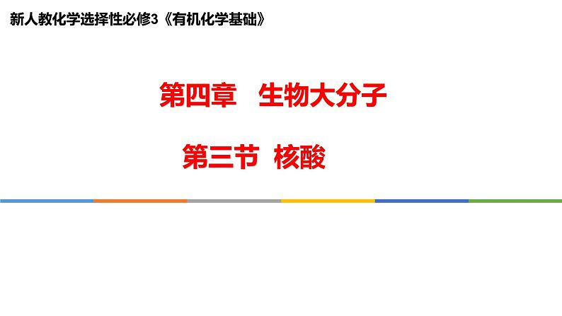 [4.3]核酸2023-2024学年高二化学人教版（2019）选择性必修3课件01