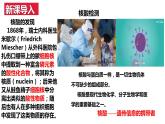 [4.3]核酸2023-2024学年高二化学人教版（2019）选择性必修3课件