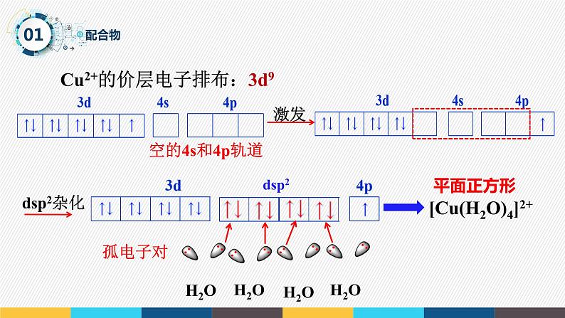 2023-2024学年人教版（2019）配合物与超分子 课件（45页）第6页